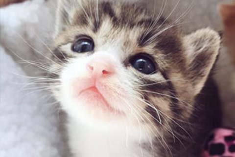 http://shaoxing.qqkaixin.com/post/193.html|绍兴供卵助孕